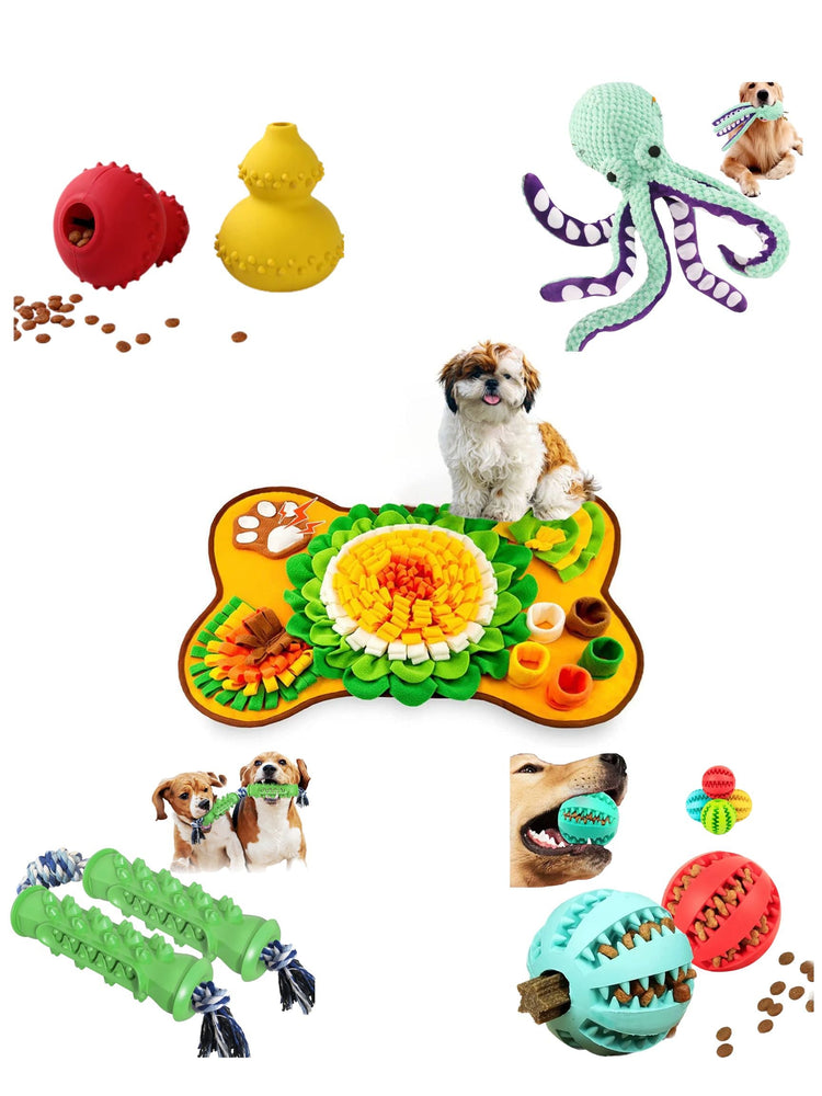 Jouets - Balles - Peluches - Tapis de fouille Chiens