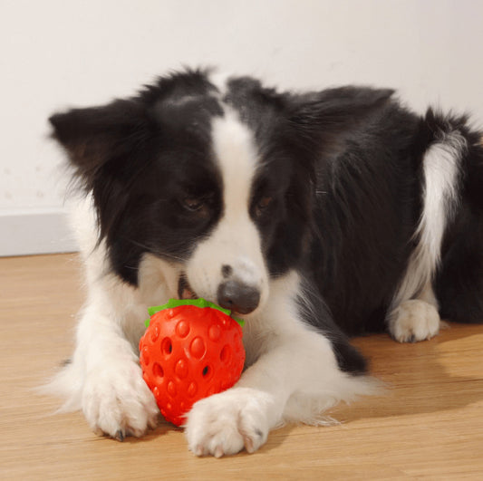 Jouet Fraise Interactif pour Chien - Distributeur de Friandises et Soin Dentaire