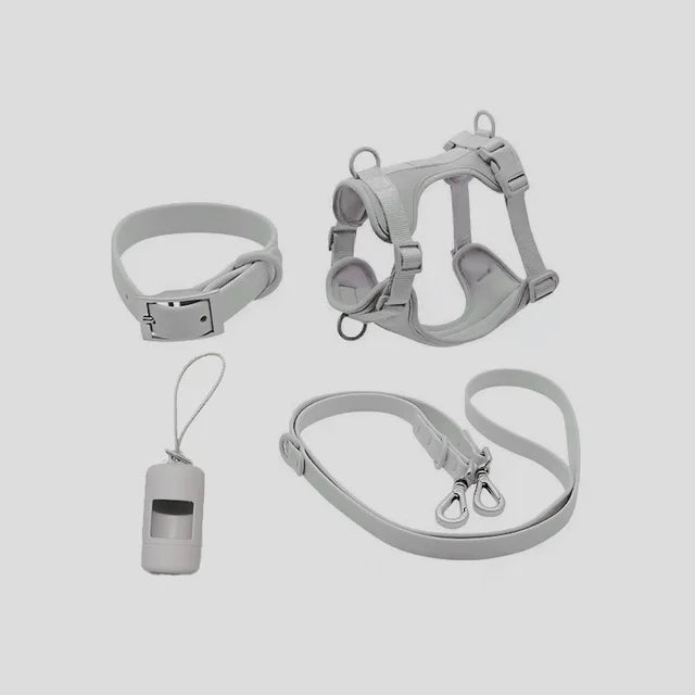 Ensemble Harnais, Distributeur, Laisse et Collier - Imperméables - Gris