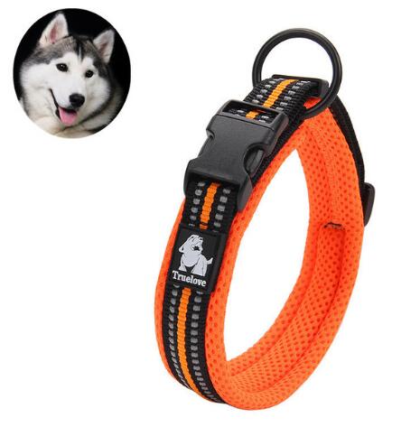 TrueLove - Collier Nylon réfléchissant - Chien - Orange