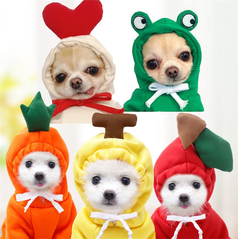 Costume d'halloween tendance Grenouille Amusante en polaire - Pour Chiens et Chats