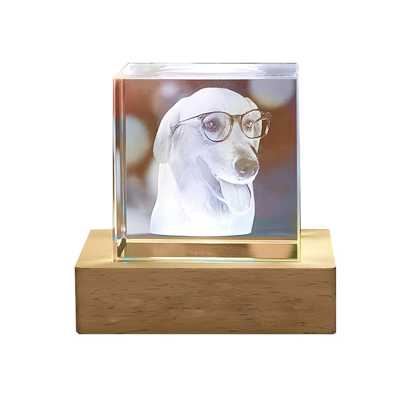 Halloween Christmas Photo Custom Pet Crystal Inside Carving Creative Gift Decorative Lamp Birthday Gift Living Room Bedroom