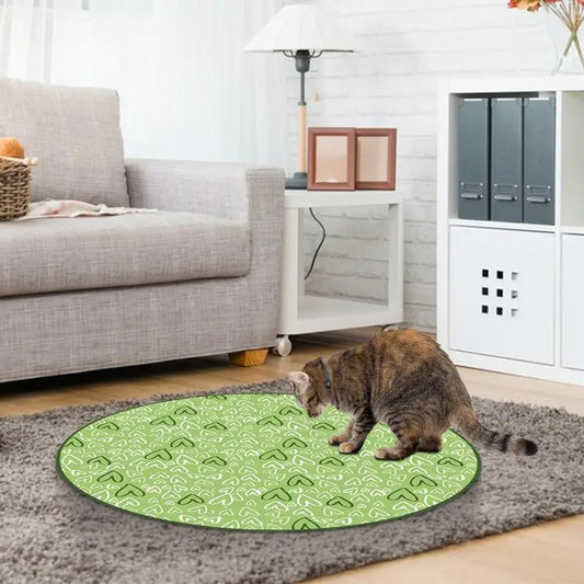 Tapis Interactif Chasse Cachée pour Chat
