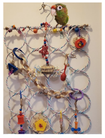 Mur d'escalade 28 anneaux et 6 jouets de pattes et de bec inclus