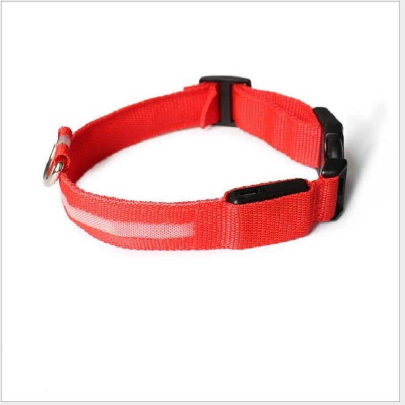 Collier LED Rechargeable USB - Pour Chiens
