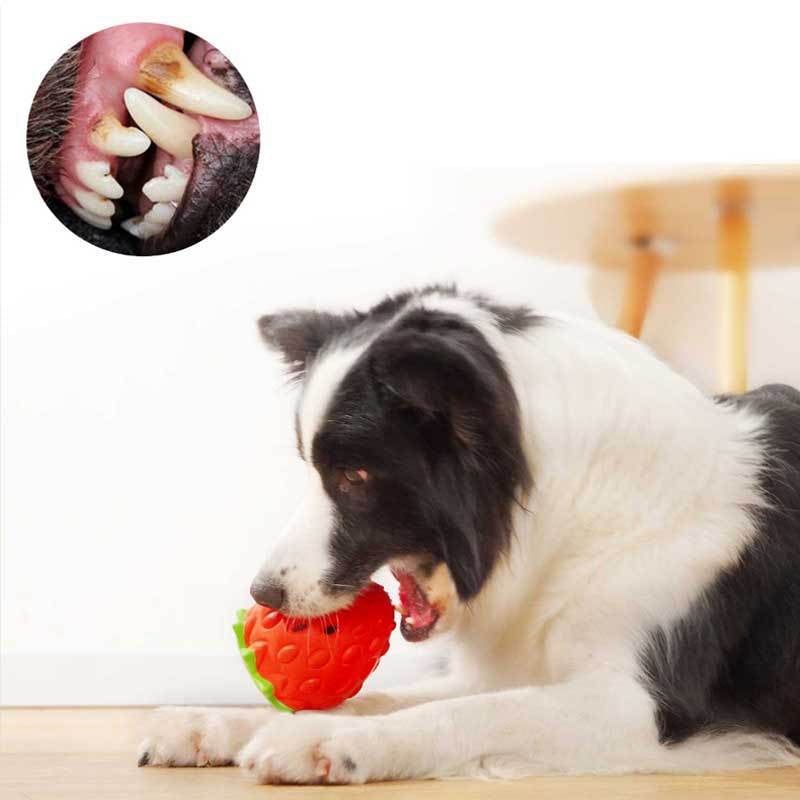 Jouet éducatif en caoutchouc pour chien