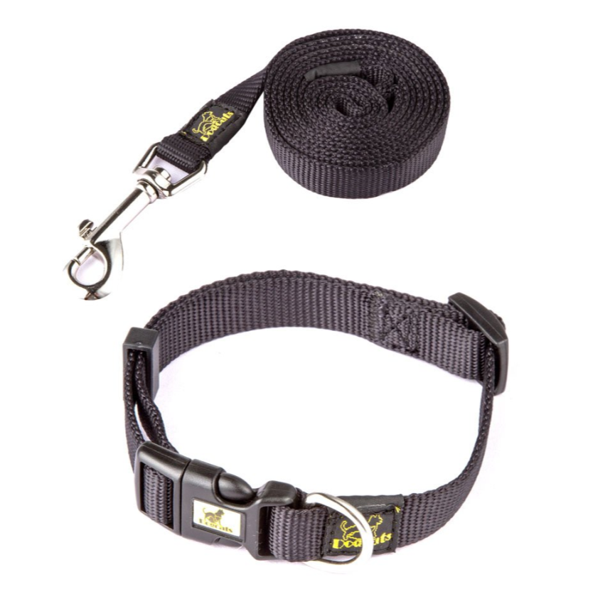 DOGCAT - Ensemble - colliers et laisses en nylon - 4 Couleurs