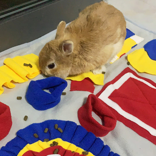 Tapis de Fouille Terrain de Jeux Multicolore - 50cm x 70cm, Niveau 3