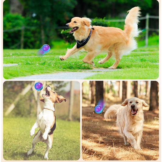 HOOPET - Super Balle Amusante