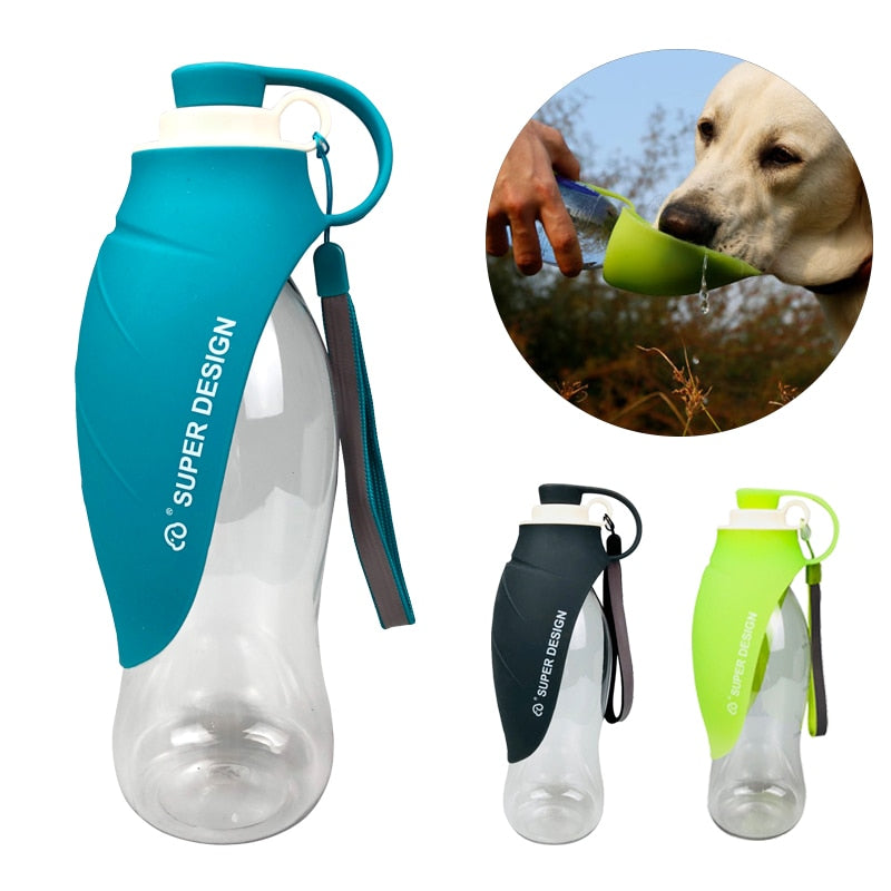 SUPER DESIGN - Bouteille d'eau portable 580 ml - Plein air, Voyages - Chiens et Chats - Bleu
