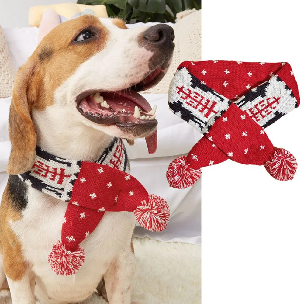 Écharpe de Noël Tricotée pour Chien et Chat - Design Élan et Rayures - Parfaite pour l'Hiver