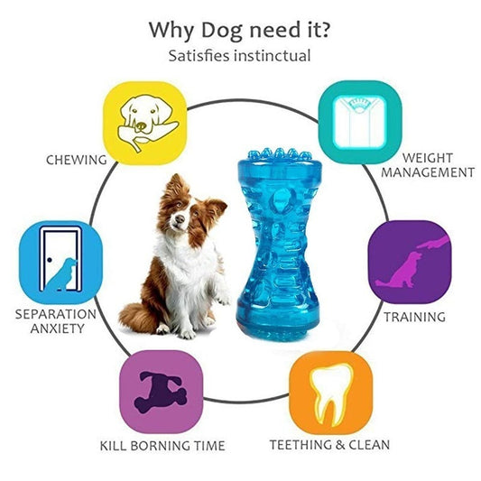 Jouet résistant et robuste en caoutchouc TPR pour moyens et gros chiens en forme d'os, résistant aux morsures, sert également de brosse à dents pour chien