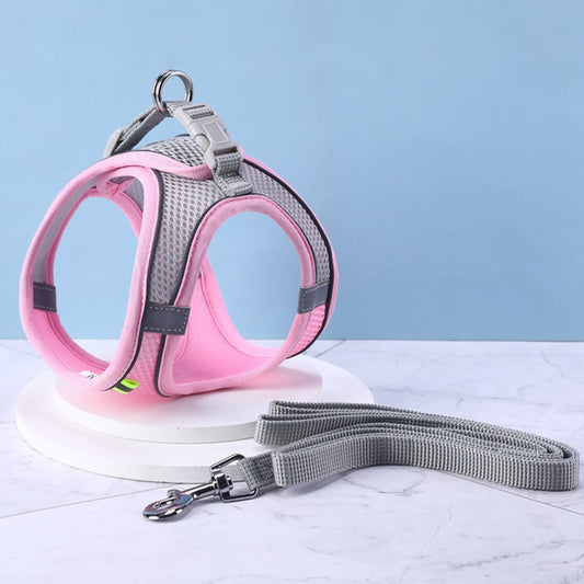 Ensemble Harnais réfléchissant et Laisse pour Chats et Chiens
