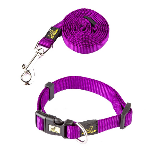 DOGCAT - Ensemble - colliers et laisses en nylon - 4 Couleurs