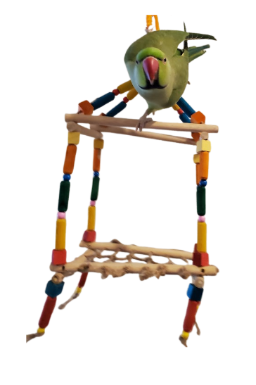 Balançoire - perchoir multicolore en bois - Grandeur moyen