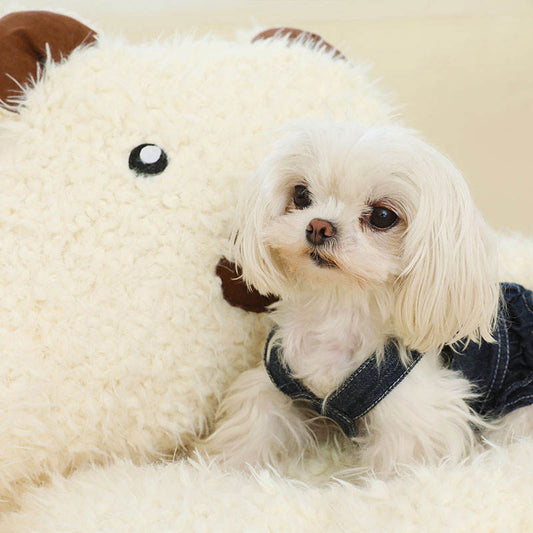 Lit Nid Alpaga Chaud pour Chat et Chien - Panier Confortable avec Coussin Amovible