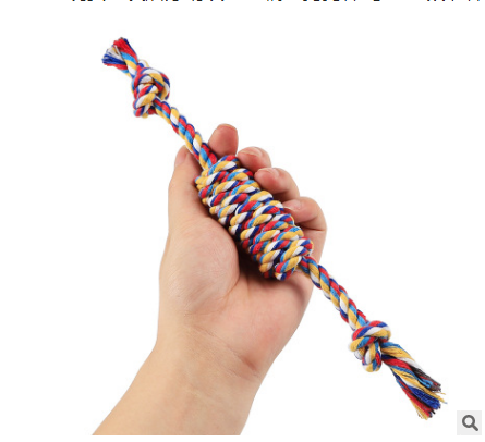 Corde de Jeu Multicolore 27cm - Jouet Robuste pour Chiens Actifs