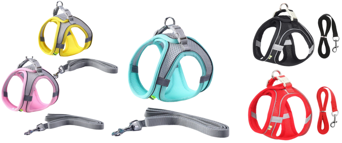 Ensemble Harnais et Laisse réglable en maille respirante et réfléchissante - Pour Chats et Chiens