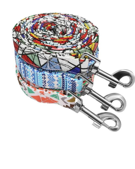 Laisse Épaisse et Robuste en Nylon avec Motifs Imprimés