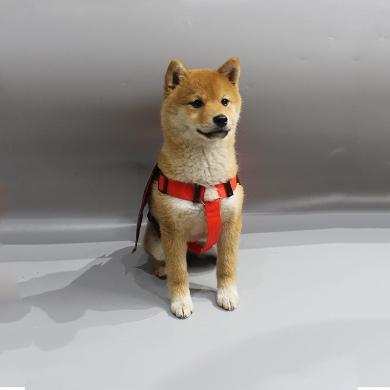 Pet Halloween dress up costume pet Halloween accessories chest and back traction rope pet bat transformation outfit