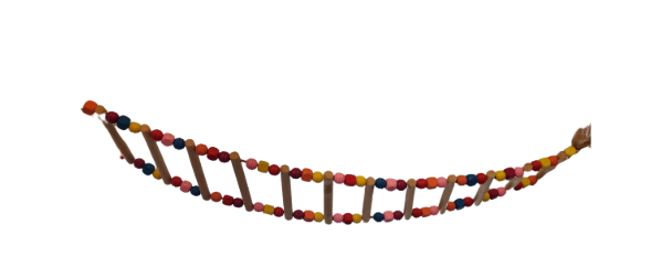 Wooden Ladder/Bridge and Colorful Wooden Beads, Medium Size