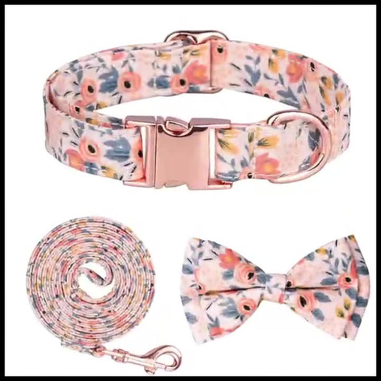 Ensemble Fleurs Orange et Bleu - Collier - Boucle - Nœud Papillon - Laisse