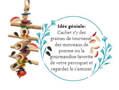 Jouet en Bambou et cuir - Foraging / Recherche de nourriture