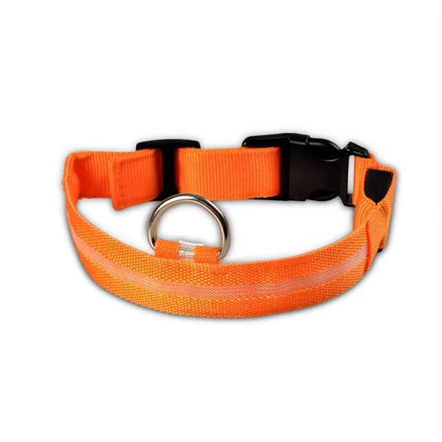 Collier Lumineux DEL rechargeable USB