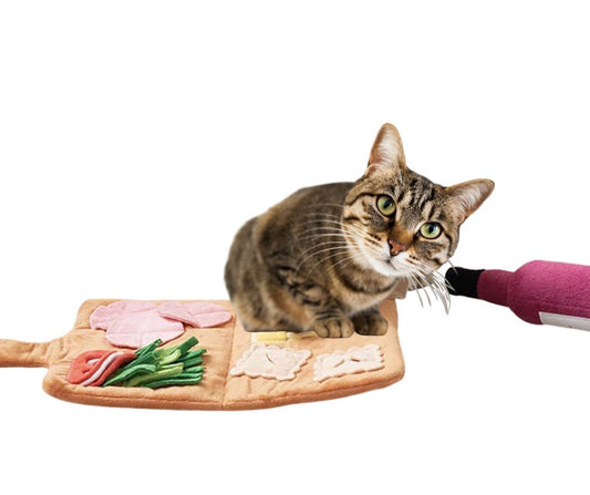 Tapis de Fouille Menu Spécial - Jeu Interactif Anti-Glouton pour Chien & Chat