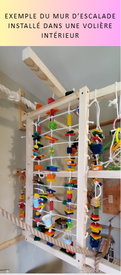 Moyen Mur d'escalade Micky Fun 24''