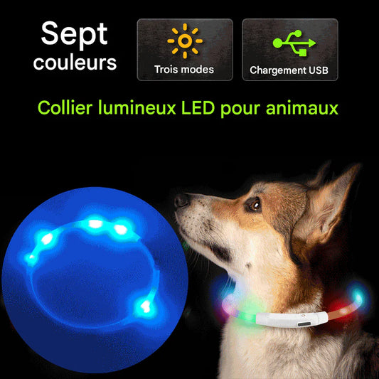 Collier Lumineux LED Rechargeable USB pour Chien - Sécurité Maximale la Nuit