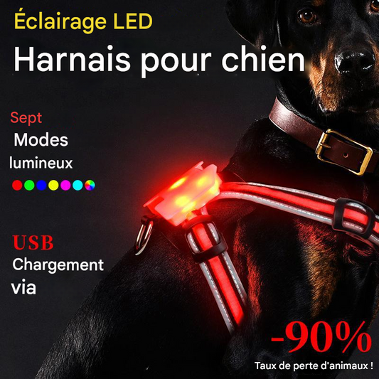Harnais anti-traction avec lumière DEL et 7 modes lumineux - Pour chien