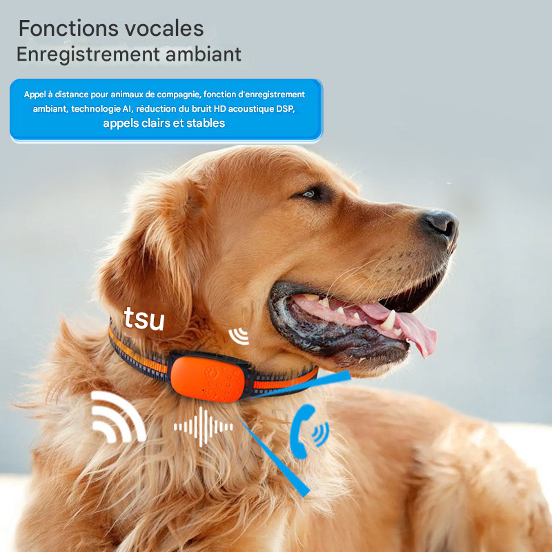 Localisateur GPS 4G Étanche - Collier Anti-Perte pour Chiens, Chats et Animaux