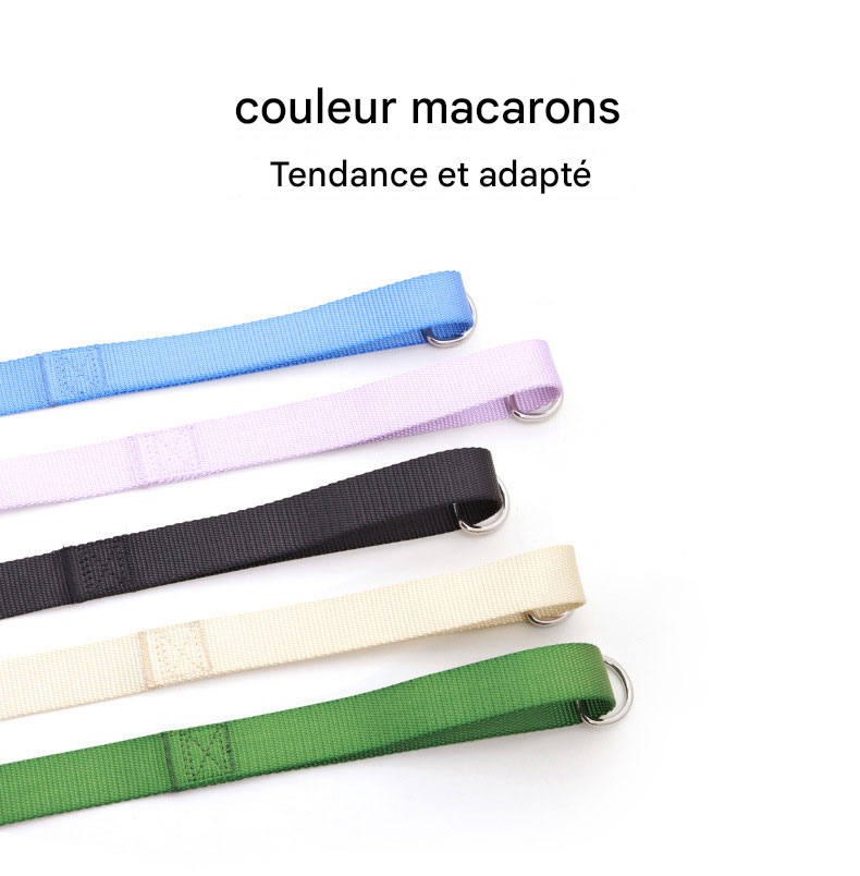 Laisse Plate Légère et Robuste - Pour Chiens Petits, Moyens et Grands