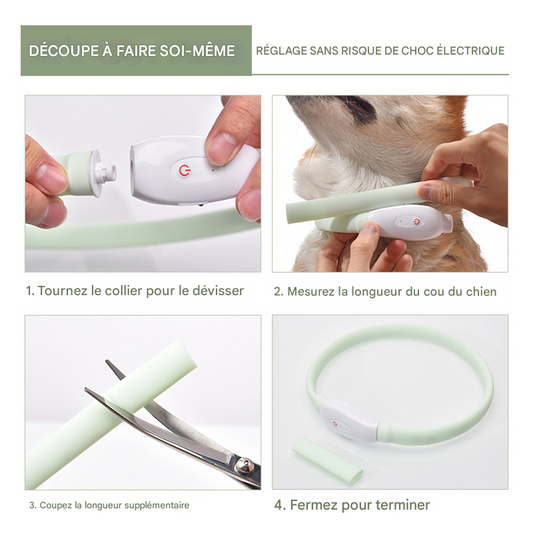 🔆Collier Lumineux LED Rechargeable USB - Sécurité Nocturne pour Chiens et Chats💚Coup de cœur de la propriétaire💚