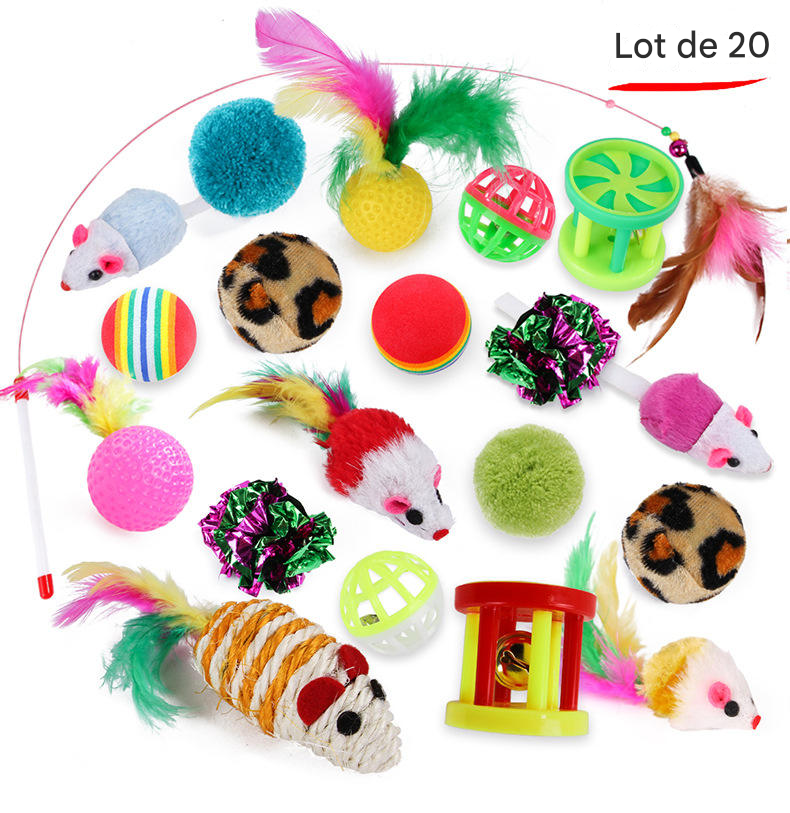 Lot de 20 Jouets pour Chat - Balles, Plumes, Baguette et Grelots pour Stimulation et Plaisir