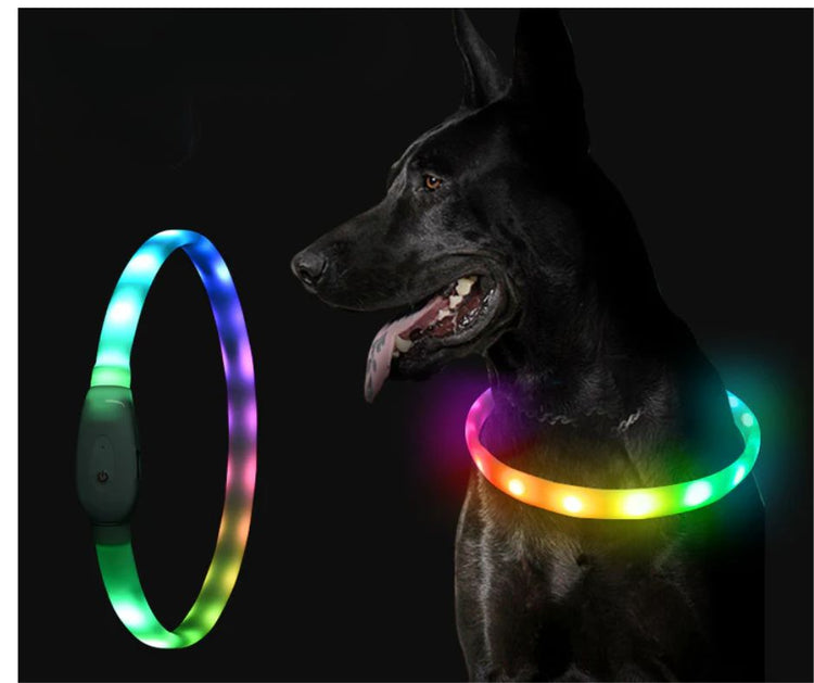 DEL - LED - Réfléchissant - Chiens
