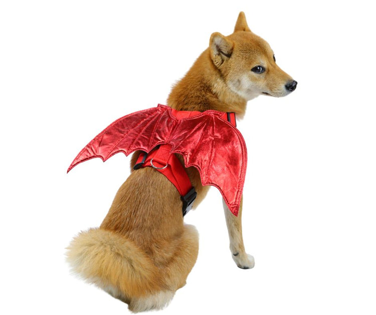 Costumes - Chiens