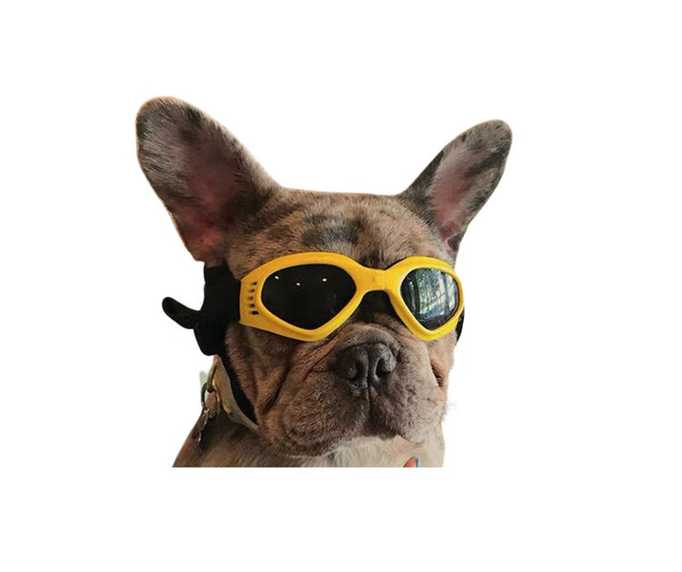 Bottes - Lunettes - Chiens