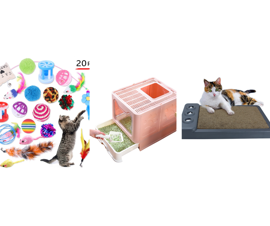 Jouets - Litières - Grattoirs - Tapis de fouille  Chats
