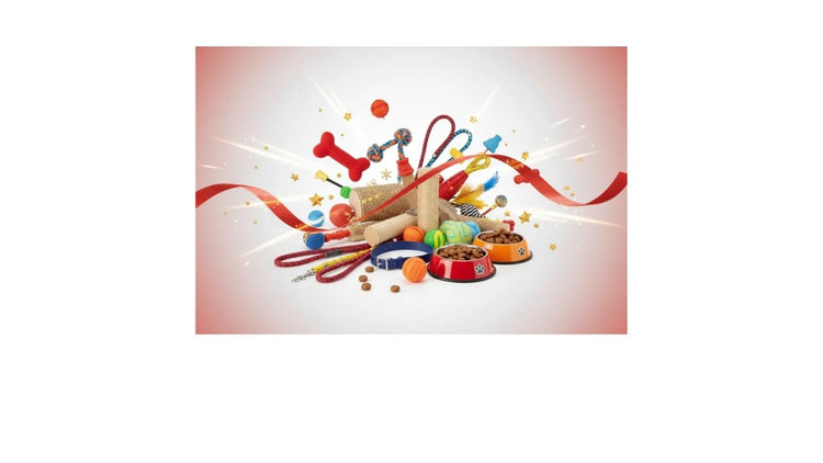 🔥 Promotions - Accessoires pour Chiens et Chats en Rabais