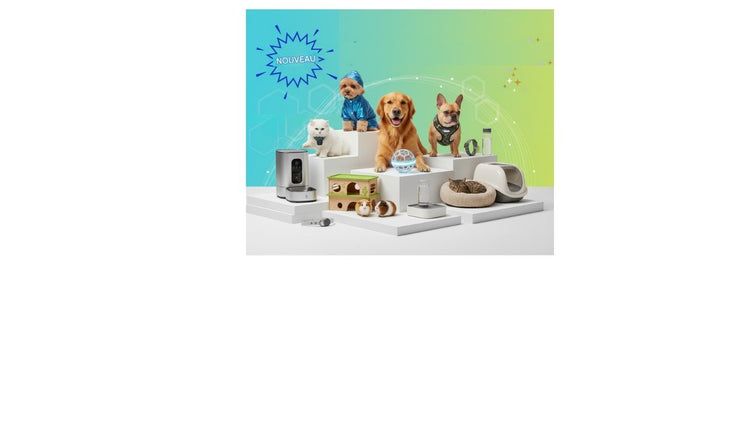 🆕 Nouveautés - Derniers Accessoires pour Animaux