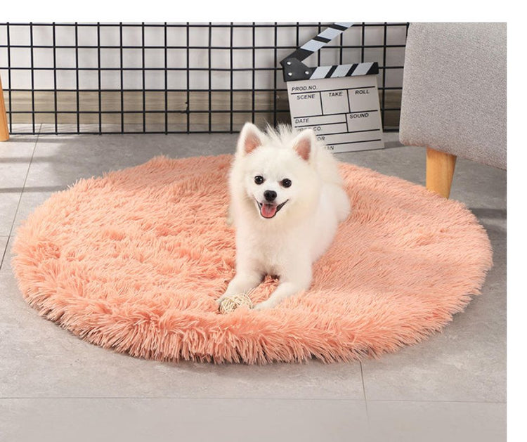 Tapis - Doudous - Chiens