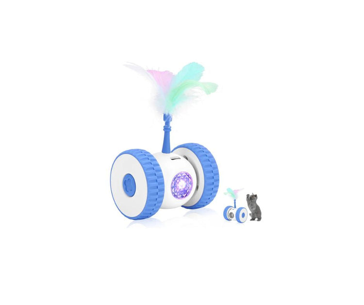 Jouets - Grattoirs - Chats