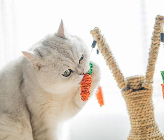 Cat Tree Tower Furniture Kitten Playhouse Sisal Scratching Posts Cat Jumping Platforms With Soft Mat