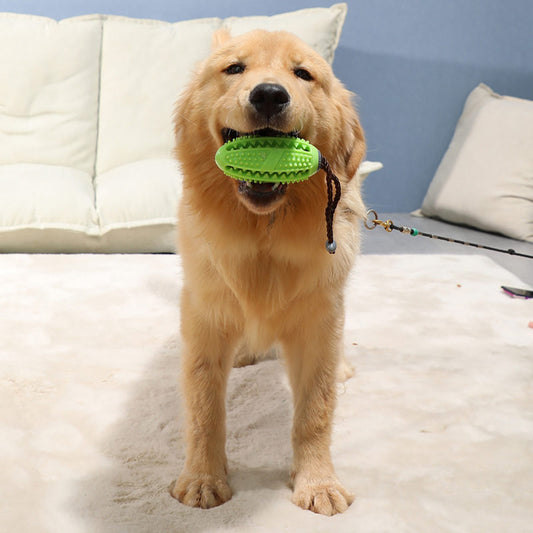 Balle interactive en caoutchouc naturel pour chien, jouet à mâcher pour chiot, distributeur de nourriture, balle résistante aux morsures