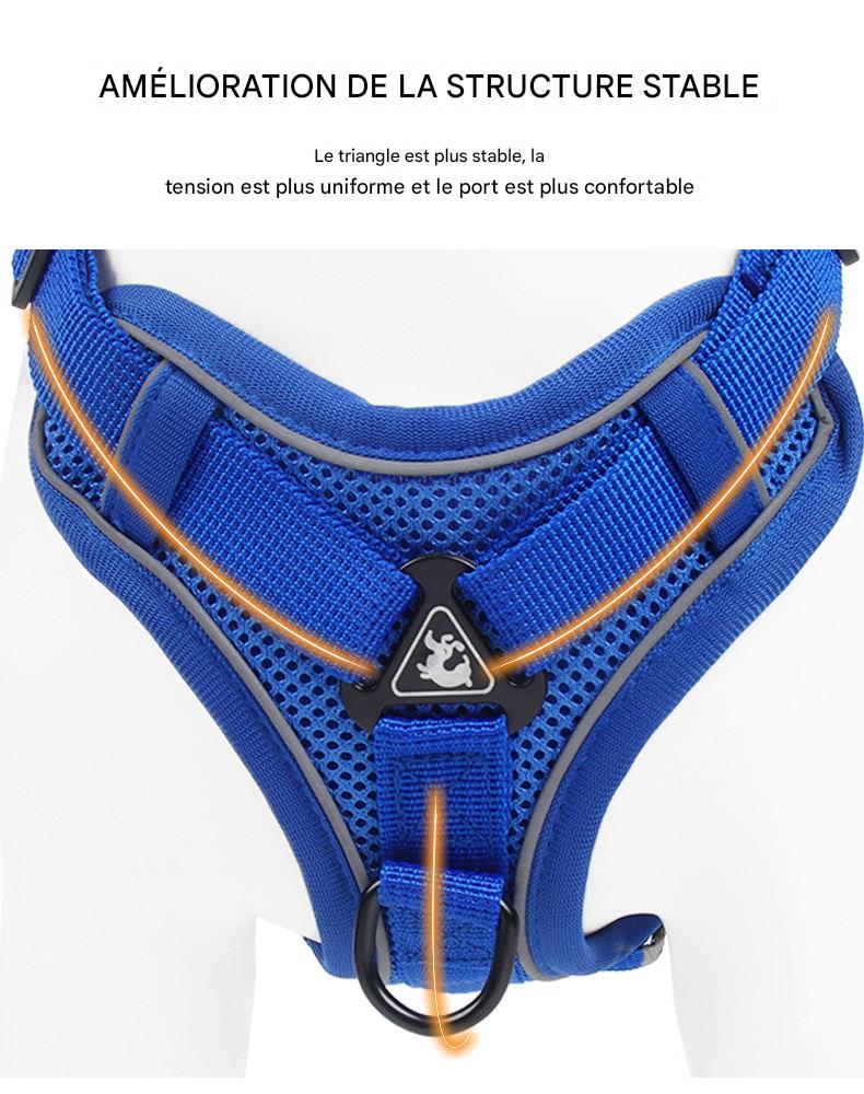 Harnais et Laisse Premium pour Corgi, Bulldog & Boston Terrier - Réfléchissant, Respirant et Anti-Traction