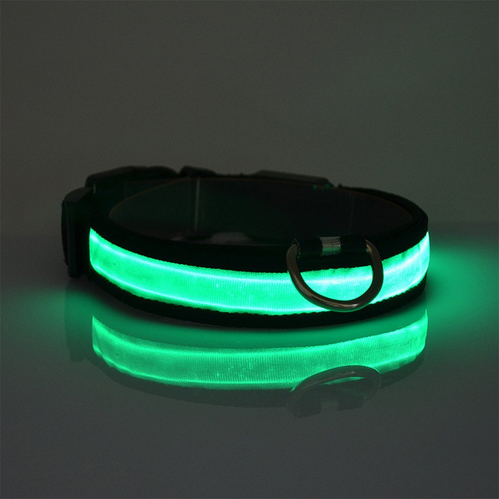 Collier en nylon pour chien et chat, lumière DEL, sécurité nocturne, flash lumineux
