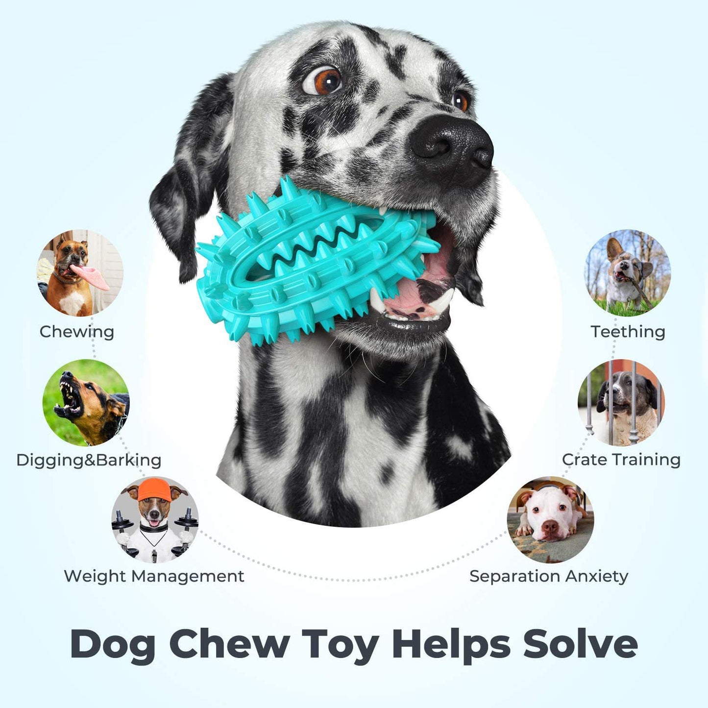 Jouet à mâcher, bâton molaire pour chien