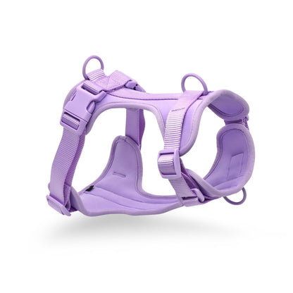 OXFORD - Choix de Laisses, Colliers et Harnais Imperméable de haute qualité. 5 Choix de Couleurs